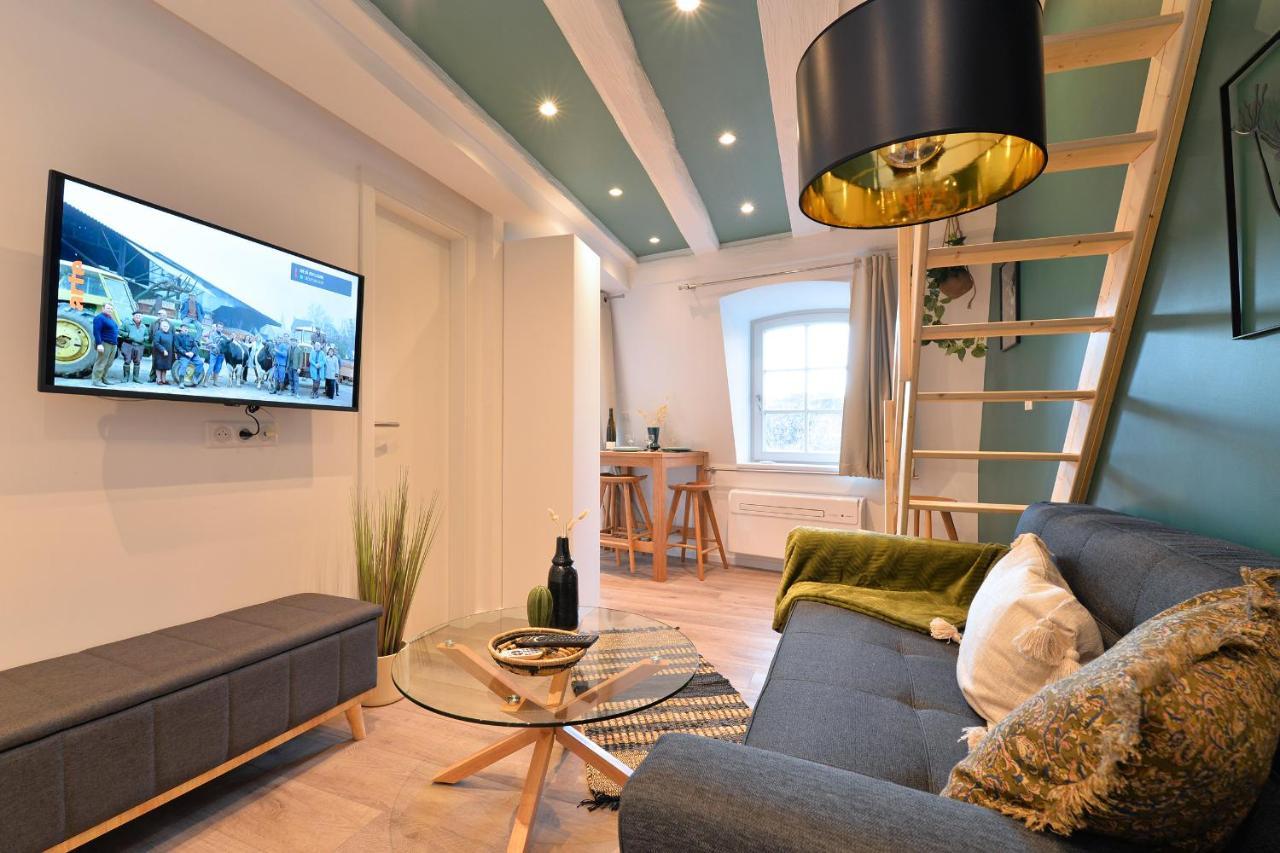 Apartamento Le Splendide Du Centre Historique Avec Climatisation Colmar